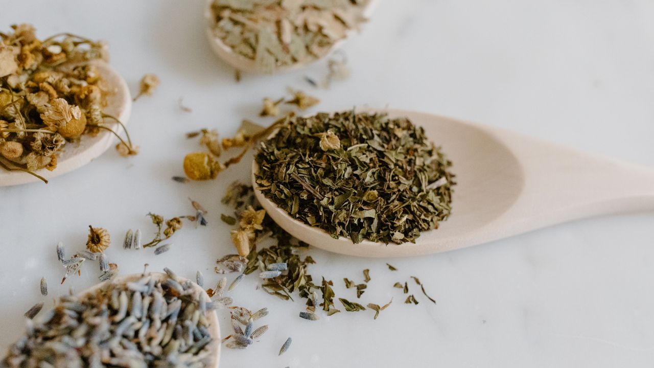 Kava Testing: Kavalactones, Identity, and Safety