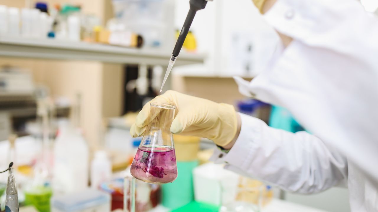 Nicotine Product Testing: Content Accuracy, Impurities, and Safety