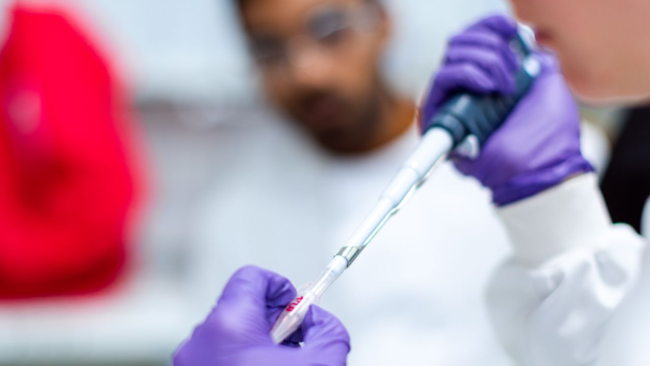 Peptide Purity vs. Peptide Content by Mass: What Your COA Isn’t Telling You