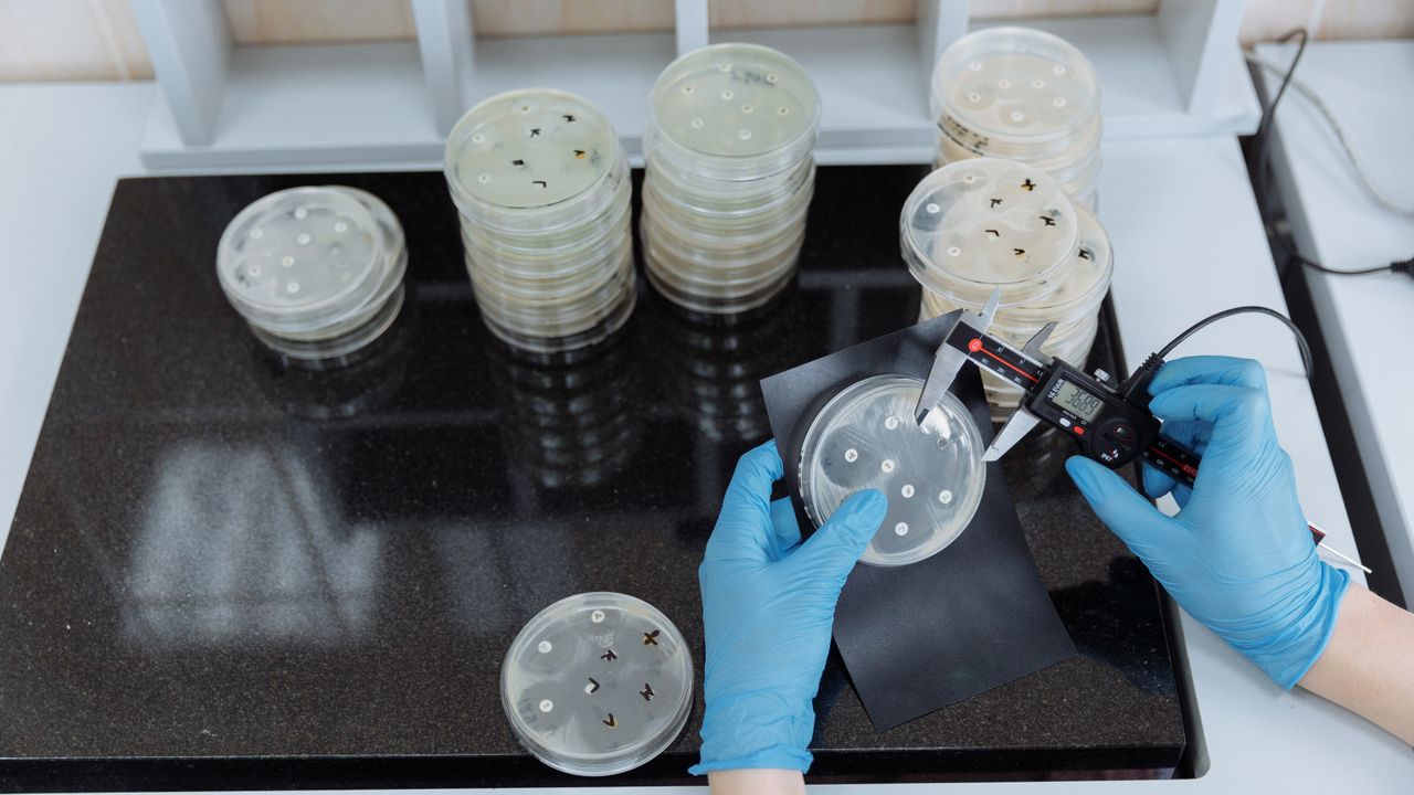 Preservative Efficacy (Challenge) Testing for Cosmetics, Explained